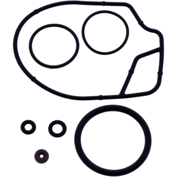 CARBURETTOR REPAIR KIT DELLORTO 3834