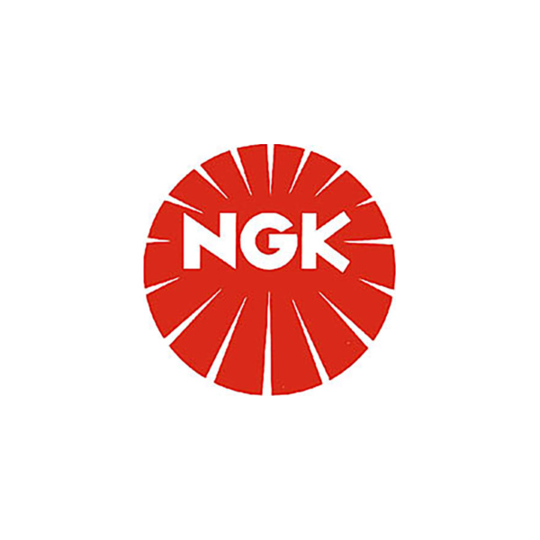Spark Plug NGK Zündkerze CR-9 EIX