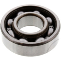 bearing 6204DU