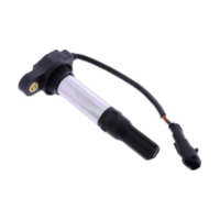 Zündspule mit Zündkerzenstecker Beru ZSE257 passend für Aprilia RSV4 Racing Factory LEABS 1000 RKL00/RKL01 2015, 201 PS, 148 kw