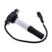 Zündspule mit Zündkerzenstecker Beru ZSE258 passend für Aprilia RSV4 Racing Factory LEABS 1000 RKL00/RKL01 2015, 201 PS, 148 kw