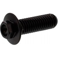 SCHR BR SCHEI PB passend für Yamaha FZS Fazer 600 RJ021 2001, 95 PS, 70 kw (hinten, vorne)