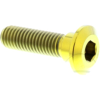 Schraube Bremsscheibe TIDISCKAWSUZG passend für Kawasaki ER-6F  650 EX650AAA 2007, 34 PS, 25 kw (hinten, vorne)