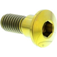 Schraube Bremsscheibe TIDISCSUZ20G passend für Suzuki RV Van Van 125 WVBT1111 2003, 11,8 PS. 8,7 kw (vorne)