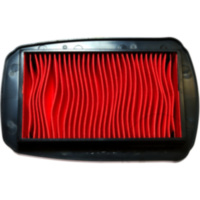 Luftfilter Hiflo HFA4106 passend für Yamaha MT MTN125-A  ABS  125 RE392 2020, 15 PS, 11 kw