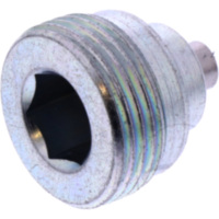 Ölablassschraube magnetisch Originalersatzteil 1123466 passend für Aprilia RSV4 Factory 1000 RK000 2009, 180 PS, 132 kw