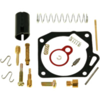 Carburetor repair kit 28828