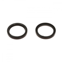 Simmerring Satz Gabel Ariete ARI042 passend für BMW R ClassicMonolever 100 247 1995, 60 PS, 44 kw