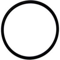 Exhaust gasket o-ring M752603187004