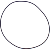 Zylinderkopfdichtung O-Ring Athena M751802450094 passend für Gas Gas EC  300 VTREC3000C 2002, 50 PS, 37 kw