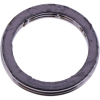 Exhaust gasket S410485012045