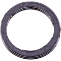 Exhaust gasket S410420012005