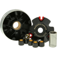 VARIOM TUNING passend für AGM GMX 450 Sport DeLuxe 25  2011, 2,2 PS, 1,6 kw