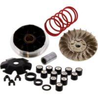 VARIOM TUNING Malossi 5113161 passend für Aprilia Scarabeo  50 PF010 1998, 3,1 PS, 2,3 kw