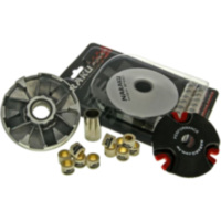 VARIOM TUNING Naraku NK90079 passend für AGM Fighter Sport 25  2011, 2,2 PS, 1,6 kw