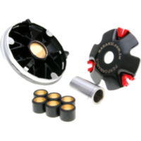 VARIOM TUNING V2 HS passend für AGM GMX 450 Sport DeLuxe 25  2011, 2,2 PS, 1,6 kw