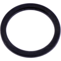 Varioring 20X25X2MM passend für AGM GMX 450 Sport DeLuxe 25  2011, 2,2 PS, 1,6 kw