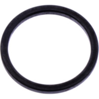 Varioring 21X25X2MM passend für AGM Fighter Sport 25  2011, 2,2 PS, 1,6 kw