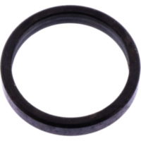 Varioring 21X25X4MM passend für AGM Fighter Sport 25  2011, 2,2 PS, 1,6 kw