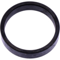 Varioring 21X25X5MM passend für AGM Fighter Sport 25  2011, 2,2 PS, 1,6 kw