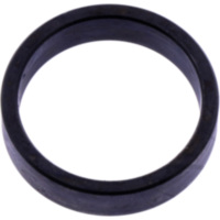 Varioring 21X25X6MM passend für AGM Fighter Sport 25  2011, 2,2 PS, 1,6 kw