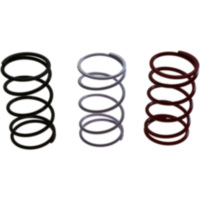 Naraku variator spring set NK90050