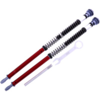 Cartridgekit Gabel YSS CO208695TRC01 passend für Aprilia Tuono ABS 660 4ZTPIAG 2021, 95 PS, 70 kw