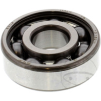 bearing 6302 skf