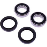 Radlager Satz komplett JMP mit Wellendichtring 1179142 passend für Ducati Diavel ABS 1150 3G00AA 2023, 168 PS, 124 kw