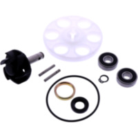 Wasserpumpe Reparatursatz JMP 1227015 passend für Aprilia Area 51 KAT 50 MYG00 1999, 4,1 PS, 3 kw
