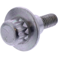 Schraube Ventildeckel Originalersatzteil 1288838 passend für Ducati XDiavel Nera ABS 1260 1G00AA/1G00W2/1G00W6/1G00WX/1G02BG 2023, 160 PS, 118 kw