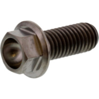 Schraube 6 Kant JMP Bolt TIHX820 passend für Aprilia RSV4 Factory 1000 RK000 2009, 180 PS, 132 kw (vorne)