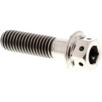 Schraube Dualdrive TIDD830R passend für Aprilia Scarabeo  50 PF010 1998, 3,1 PS, 2,3 kw (hinten)