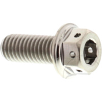 Schraube Dualdrive JMP Bolt passend für Aprilia RSV4 Factory 1000 RK000 2009, 180 PS, 132 kw (vorne)
