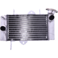 Wasserkühler JMP 981704 passend für Yamaha MT MTN125-A  ABS  125 RE392 2020, 15 PS, 11 kw