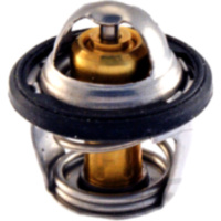 RMS 100120010 Thermostat