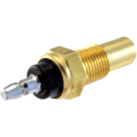 RMS 100120020 Thermogeber