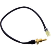Temperatursensor Originalersatzteil 1248818 passend für Ducati XDiavel Nera ABS 1260 1G00AA/1G00W2/1G00W6/1G00WX/1G02BG 2023, 160 PS, 118 kw