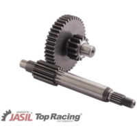 JASIL Getriebe 13/43-14 für: MBK für Aprilia, Beta, Italjet passend für Aprilia Area 51 KAT 50 MYG00 1999, 4,1 PS, 3 kw