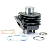 TECNIUM Zylinder-Kolben-Kit - Minarelli Horizontal Air-cooled für Aprilia, MBK, Beta passend für Aprilia Scarabeo  50 PF010 1998, 3,1 PS, 2,3 kw