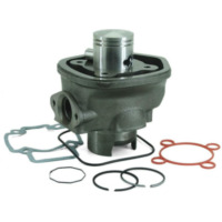 TECNIUM Zylinder-Kolben-Kit - für: Piaggio für Aprilia, Gilera passend für Aprilia Area 51 KAT 50 MYG00 1999, 4,1 PS, 3 kw