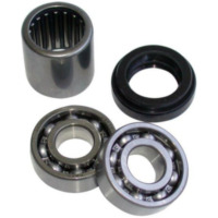 Reparaturkit für Hinterradschwingen: FZS600 1998-01, FZS1000 2001 und YZF600R 1996-04 für: Yamaha FZS600FAZER passend für Yamaha FZS Fazer 600 RJ021 2001, 95 PS, 70 kw
