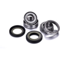FACTORY LINKS Lenkkopflager-Kit für: Gas Gas EC für Moto Guzzi, Aprilia passend für Aprilia Pegaso Garda 650 RW000/RWA00/RWB00 2002, 49 PS, 36 kw