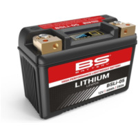BS BATTERY Lithium-Ionen-Batterie - BSLI-05 für Kawasaki, Honda, Suzuki passend für Yamaha XJ  900 58L 1988, 98 PS, 72 kw