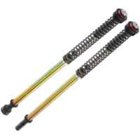 Gabelpatronen BITUBO JBHV1 - roter Ring ohne Öl für Aprilia RSV4, TUONO1000V4 passend für Aprilia RSV4 Racing Factory LEABS 1000 RKL00/RKL01 2015, 201 PS, 148 kw