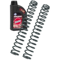 BITUBO lineare Gabelfedern Kit für Aprilia RSV4 passend für Aprilia RSV4 Factory 1000 RK000 2009, 180 PS, 132 kw