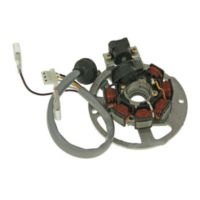 Generator Lichtmaschine Stator NK39027 passend für Aprilia Scarabeo  50 PF010 1998, 3,1 PS, 2,3 kw