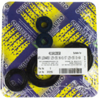 Zylinderdichtung, Motordichtsatz Motorwellendichtringset Leonardo 125 / 411A128SR passend für Aprilia Leonardo  125 MB000 1996, 9,5 PS, 7 kw