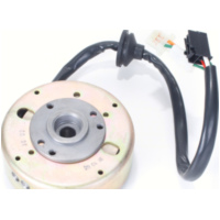 Lima, Generator Lichtmaschine+Polrad Minarelli Motor (pick up innenliegend) passend für Aprilia Scarabeo  50 PF010 1998, 3,1 PS, 2,3 kw