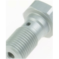 banjo screw M10x1.00 (for Brembo...